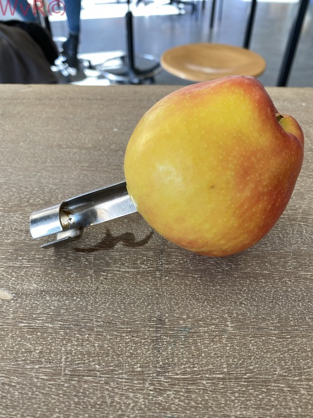 JPEG-afbeelding 2.jpeg
