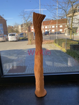 JPEG-afbeelding 22