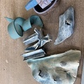 IMG 0269