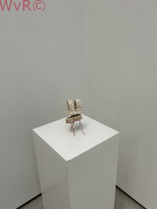 IMG 0586